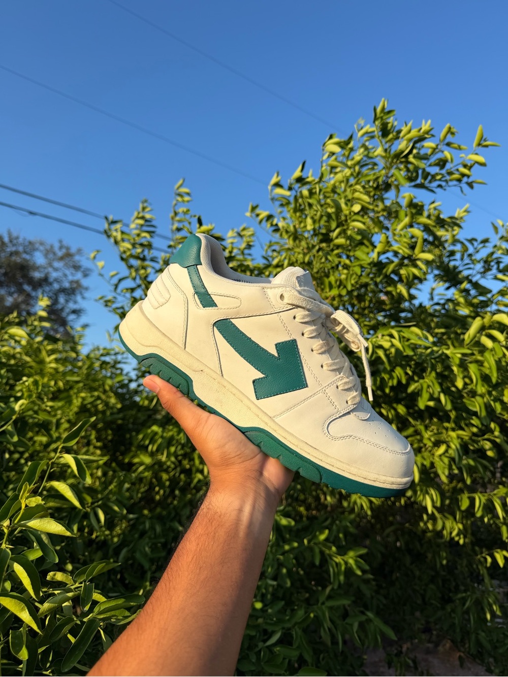 Men's Off White Leather Sneakers Green/White